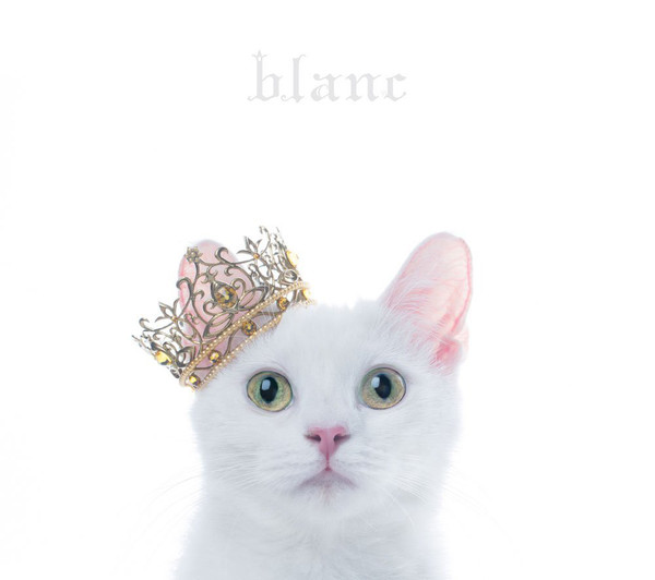 BEST SELECTION ”BLANC”