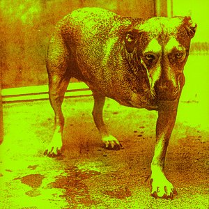 ALICE IN CHAINS
