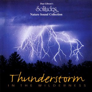 THUNDERSTORM IN THE WILDERNESS
