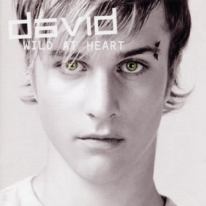 WILD AT HEART