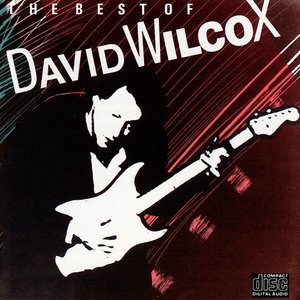 THE BEST OF DAVID WILCOX