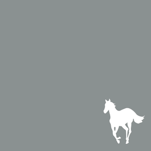 WHITE PONY