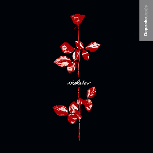 VIOLATOR