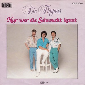 NUR WER DIE SEHNSUCHT KENNT