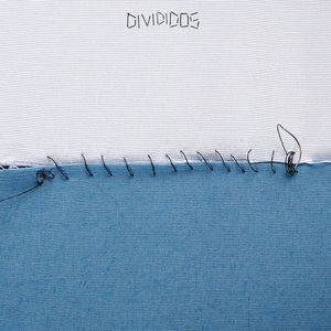 DIVIDIDOS