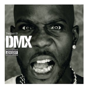 THE BEST OF DMX