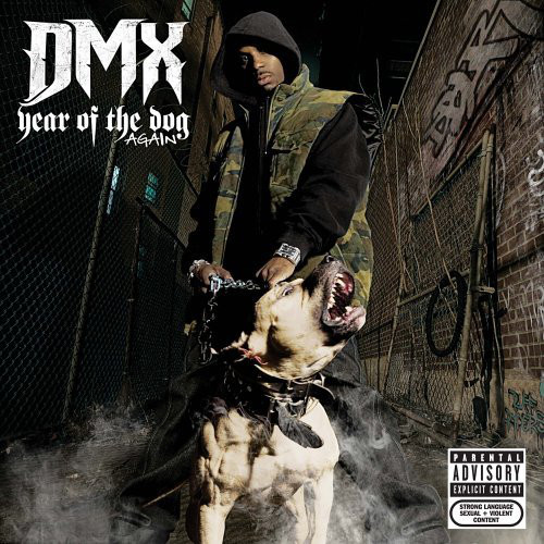 YEAR OF THE DOG …AGAIN