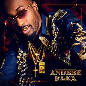 ANDERE FLEX
