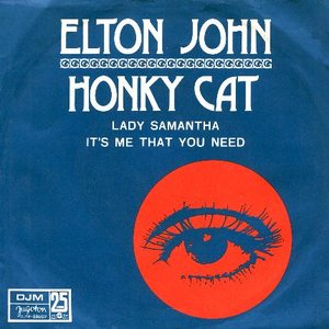 HONKY CAT