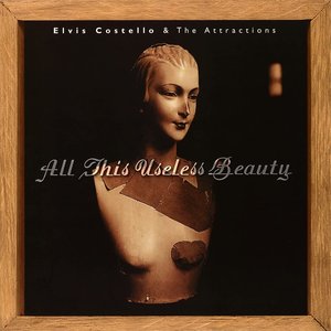 ALL THIS USELESS BEAUTY