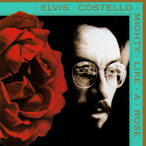 MIGHTY LIKE A ROSE