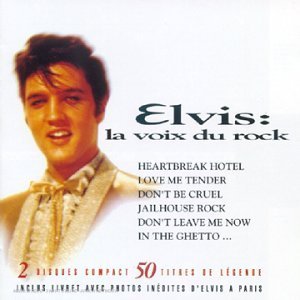 LA VOIX DU ROCK