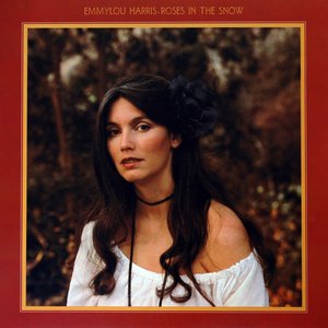 ROSES IN THE SNOW