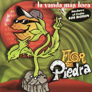 LA VANDA MAS LOCA