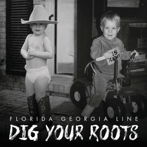 DIG YOUR ROOTS