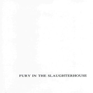 FURY IN THE SLAUGHTERHOUSE