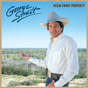 OCEAN FRONT PROPERTY