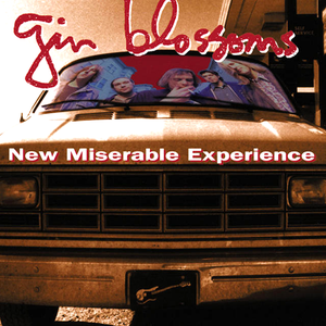 NEW MISERABLE EXPERIENCE