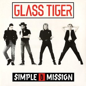 SIMPLE MISSION