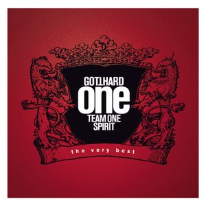 ONE TEAM ONE SPIRIT