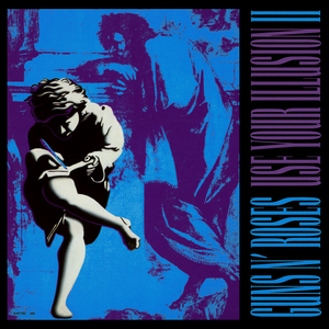 USE YOUR ILLUSION II