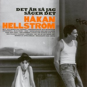 DET ÄR SÅ JAG SÄGER DET