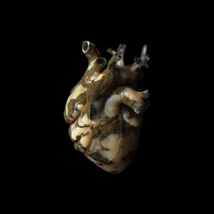 URANIUM HEART