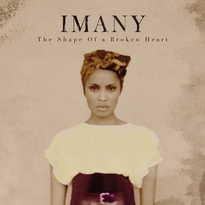 THE SHAPE OF A BROKEN HEART