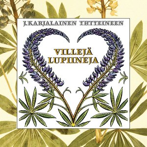 VILLEJÄ LUPIINEJA