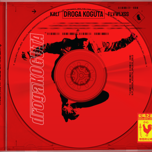 DROGA KOGUTA