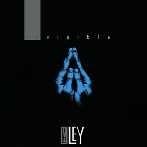 INVISIBLE