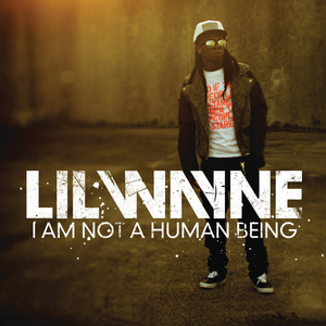 I AM NOT A HUMAN BEING