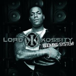 BOOMING SYSTEM