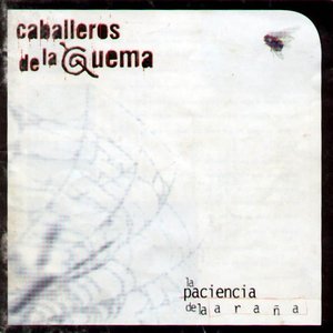 LA PACIENCIA DE LA ARAÑA