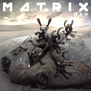 MATRIX