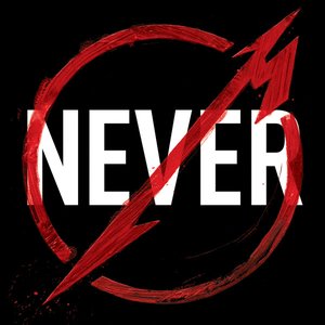 THROUGH THE NEVER