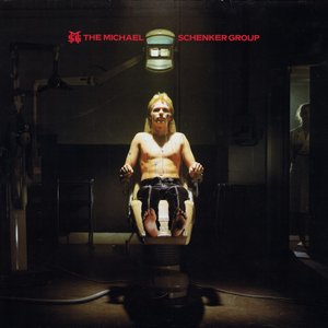 THE MICHAEL SCHENKER GROUP