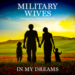IN MY DREAMS