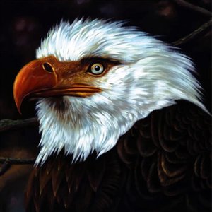 THE HAWK IS HOWLING