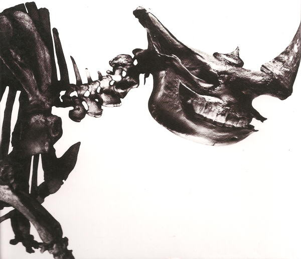 MR.CHILDREN 1996-2000