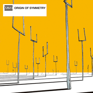 ORIGIN OF SYMMETRY