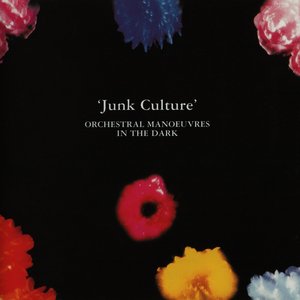 JUNK CULTURE