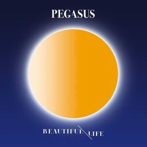 BEAUTIFUL LIFE
