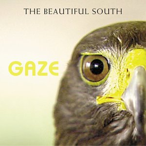 GAZE