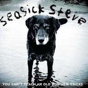 YOU CAN'T TEACH AN OLD DOG NEW TRICKS