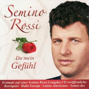 DU MEIN GEFÜHL