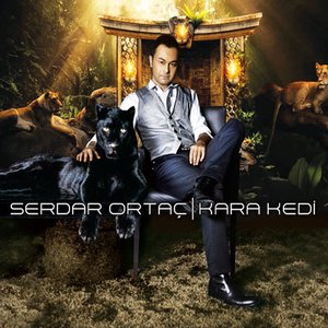 KARA KEDI