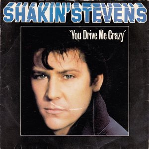 YOU DRIVE ME CRAZY