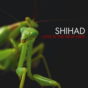LOVE IS THE NEW HATE