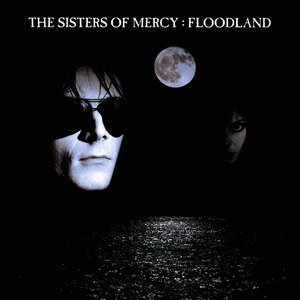 FLOODLAND